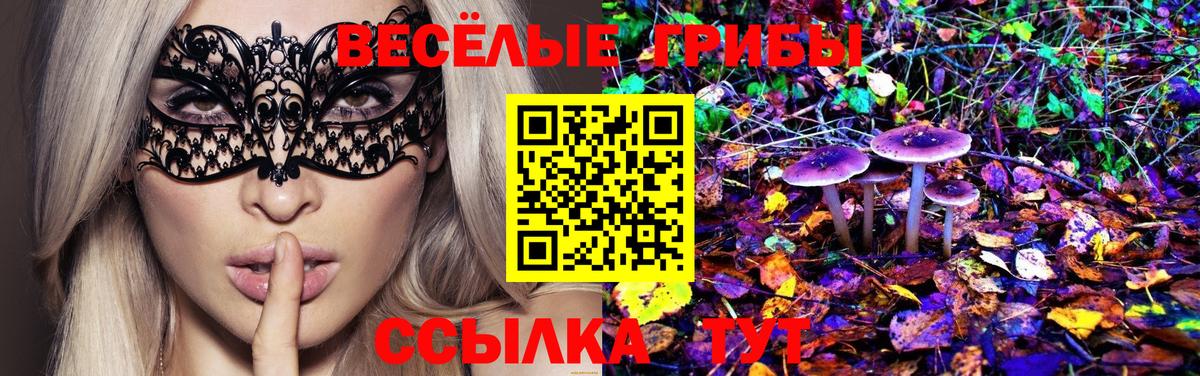 Псилоцибиновые грибы Magic Shrooms  Вход с VPN  продажа наркотиков  Искитим  Псилоцибиновые грибы MAGIC MUSHROOMS 
